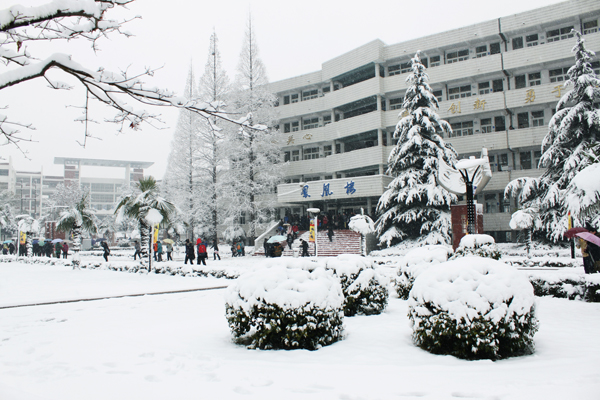 校园雪景1